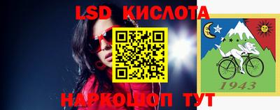 эйфоретик Славгород